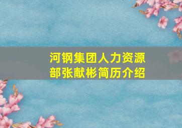 河钢集团人力资源部张献彬简历介绍