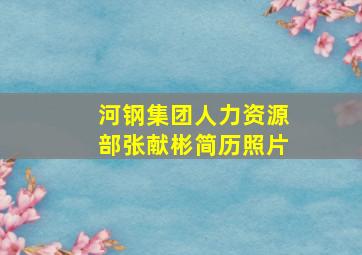 河钢集团人力资源部张献彬简历照片