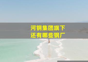 河钢集团旗下还有哪些钢厂