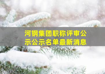 河钢集团职称评审公示公示名单最新消息