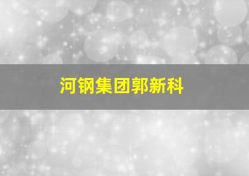 河钢集团郭新科