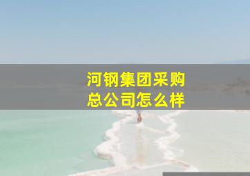 河钢集团采购总公司怎么样