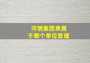 河钢集团隶属于哪个单位管理