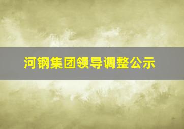 河钢集团领导调整公示