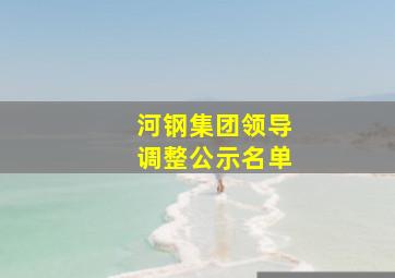 河钢集团领导调整公示名单