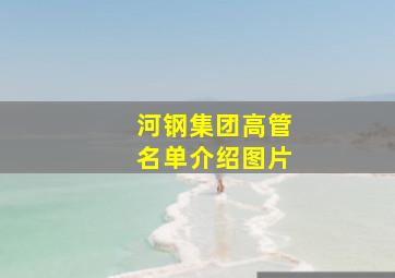 河钢集团高管名单介绍图片