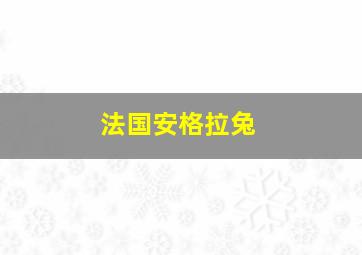 法国安格拉兔