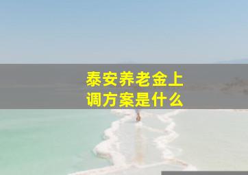 泰安养老金上调方案是什么