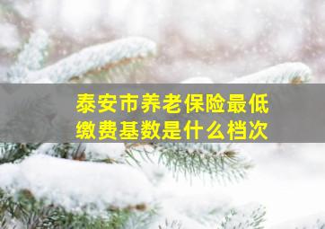 泰安市养老保险最低缴费基数是什么档次