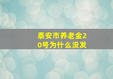 泰安市养老金20号为什么没发