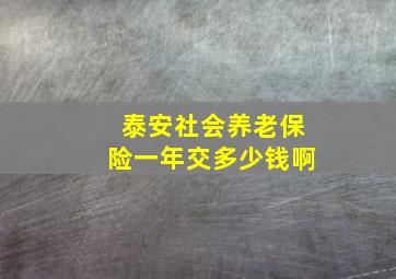 泰安社会养老保险一年交多少钱啊