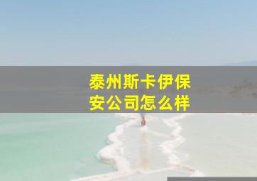 泰州斯卡伊保安公司怎么样