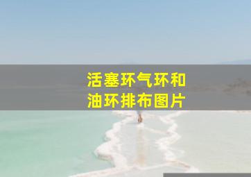 活塞环气环和油环排布图片