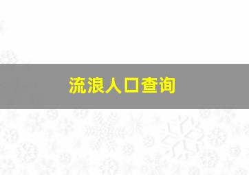 流浪人口查询