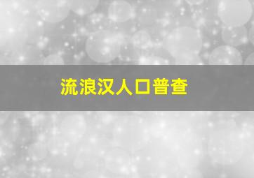 流浪汉人口普查