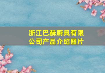 浙江巴赫厨具有限公司产品介绍图片