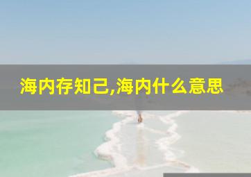 海内存知己,海内什么意思