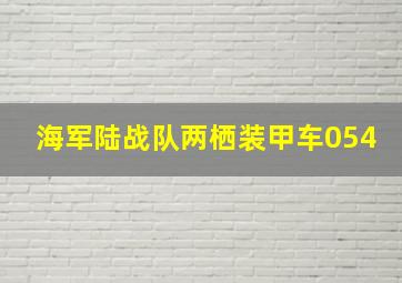 海军陆战队两栖装甲车054