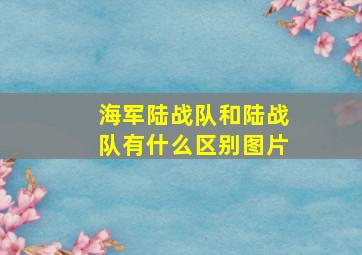 海军陆战队和陆战队有什么区别图片