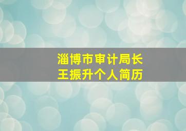 淄博市审计局长王振升个人简历