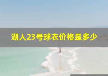 湖人23号球衣价格是多少