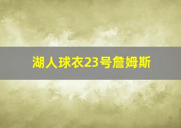 湖人球衣23号詹姆斯