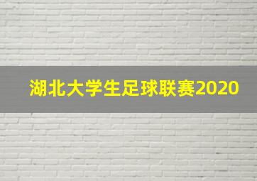 湖北大学生足球联赛2020