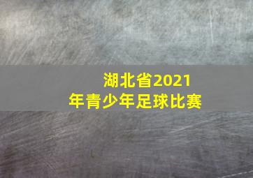 湖北省2021年青少年足球比赛