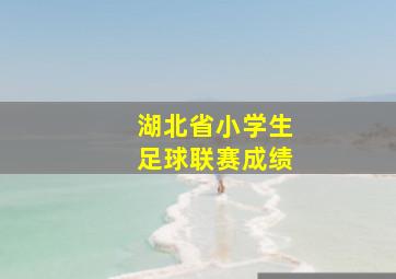 湖北省小学生足球联赛成绩