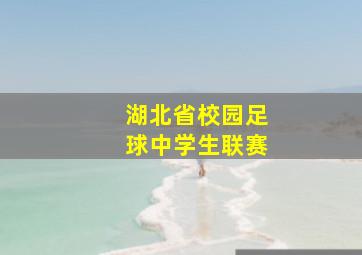 湖北省校园足球中学生联赛