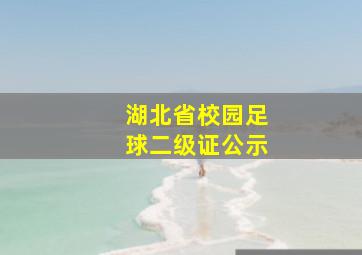 湖北省校园足球二级证公示