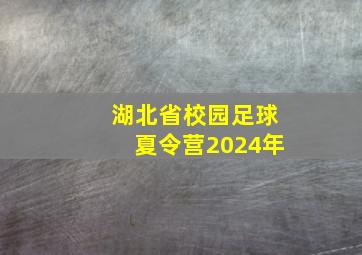 湖北省校园足球夏令营2024年