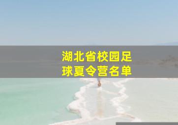 湖北省校园足球夏令营名单