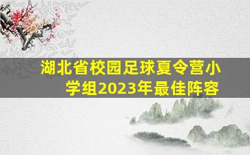 湖北省校园足球夏令营小学组2023年最佳阵容