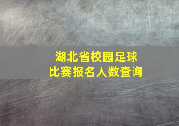 湖北省校园足球比赛报名人数查询