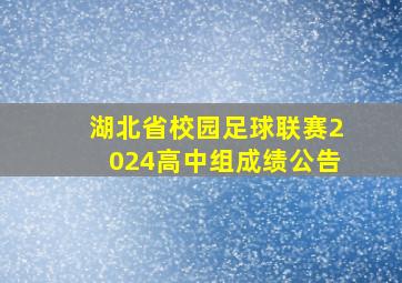 湖北省校园足球联赛2024高中组成绩公告