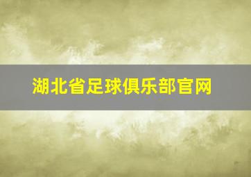 湖北省足球俱乐部官网