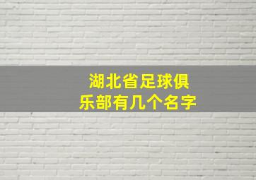 湖北省足球俱乐部有几个名字