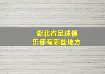 湖北省足球俱乐部有哪些地方