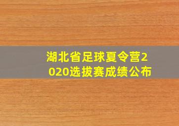 湖北省足球夏令营2020选拔赛成绩公布