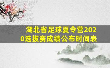 湖北省足球夏令营2020选拔赛成绩公布时间表