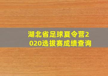 湖北省足球夏令营2020选拔赛成绩查询