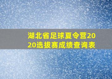 湖北省足球夏令营2020选拔赛成绩查询表