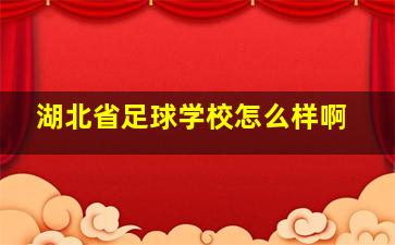 湖北省足球学校怎么样啊