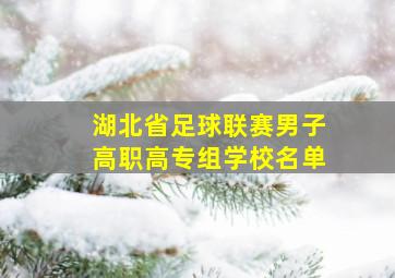 湖北省足球联赛男子高职高专组学校名单