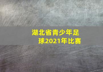 湖北省青少年足球2021年比赛