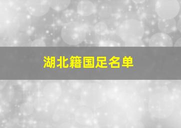 湖北籍国足名单