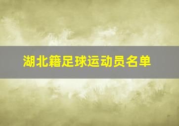 湖北籍足球运动员名单