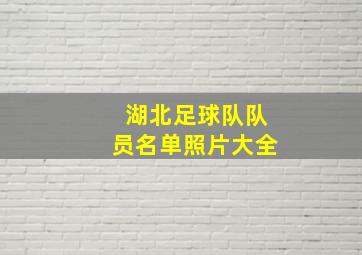 湖北足球队队员名单照片大全