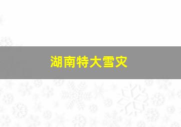 湖南特大雪灾